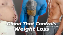 Sex, Fat, & Weight Loss | The Gland That Controls It All Instructional Video