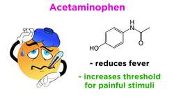 Acetaminophen/Paracetamol (Tylenol) Instructional Video