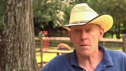 What Are Common Diseases in Leopard Geckos? Instructional Video