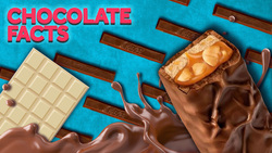 Facts About Chocolate Instructional Video