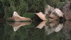 Mirrored reflection along Fitzroy River, Mornington Sanctuary Stock Footage