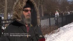 Montreal SPCA wants to change how pet custody is considered in a breakup News Clip