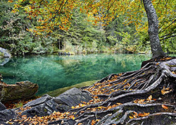 Denitrification Instructional Video