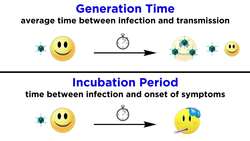 Routes of Viral Transmission Instructional Video