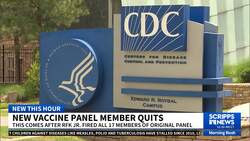 New vaccine panel member quits News Clip