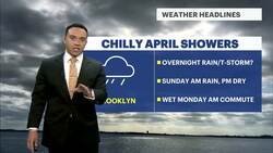 Overnight rain before cool and cloudy Sunday in Brooklyn News Clip