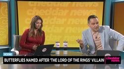 In Case You Missed It: New Butterfly Named After Lord of the Rings Villain News Clip