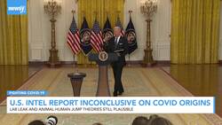 Intelligence Community: COVID-19 Origins Are Still Unclear News Clip