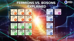 Fermions Vs. Bosons Explained with Statistical Mechanics! Instructional Video