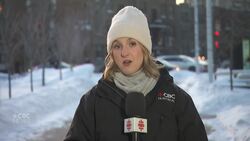 Montreal is getting pummeled with up to 40 cm of snow. Here's what you need to know News Clip