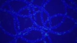 Echoes of the Universe's Creation Instructional Video