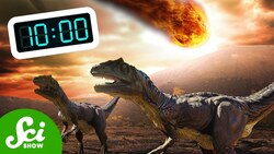 If the Asteroid Hit 10 Minutes Later... Instructional Video