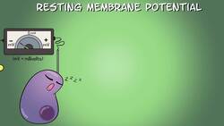 Sodium Potassium Pump Instructional Video