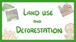 GCSE Biology - Land Use - Deforestation & Peat Bogs #92 Instructional Video