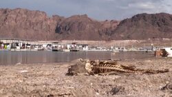 CLEAN : Boaters enjoy Lake Mead as largest US reservoir reaches new low level News Clip