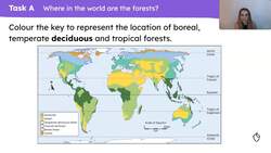 Global trees and forests Instructional Video