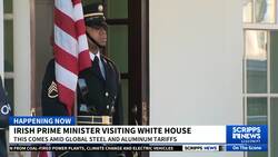 Irish Prim Minister visits the White House News Clip