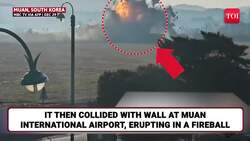 Jeju Air Disaster: 'Wall Near Runway Unusual': Here's Why Boeing Plane Turned Fireball | South Korea News Clip