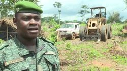 CLEAN : Téné forest, bastion against deforestation in Ivory Coast News Clip