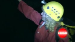 Discover! - Green Revolution Instructional Video