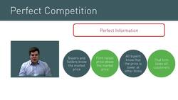 Introduction to Perfect Competition and Its Assumptions Instructional Video