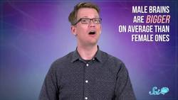 Are There Male and Female Brains? Instructional Video