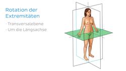 Arten der Körperbewegung Instructional Video