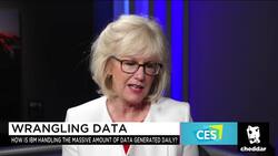Big Blue and Big Data: IBM Has Responsibility to Protect Customer Information, CTO Says News Clip