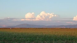 Sunset over the lavender fields in Valensole Plain of Provence Southern France Stock Footage
