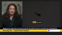 Seoul court approves arrest warrant for President Yoon in martial law investigation News Clip