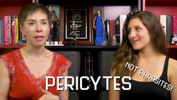 What is the Blood-Brain Barrier? Instructional Video