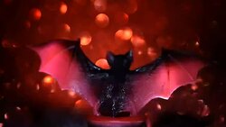 Atmosphere of Halloween Stock Footage