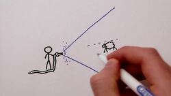 Las Mareas Instructional Video