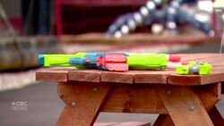 Tree donation will make Jasper’s barren temporary housing feel more like home News Clip