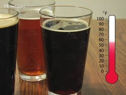 How to Distinguish Different Types Of Beer Instructional Video