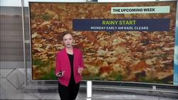 Rainy morning before sunny skies return to Brooklyn News Clip