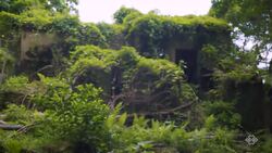 Lai Chi Wo Instructional Video