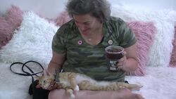 Coffee and shelter cats on offer at a US cat cafe Instructional Video