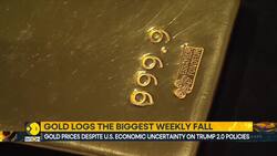 Gold Logs The Biggest Weekly Fall News Clip