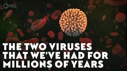 The Two Viruses That We’ve Had For Millions of Years Instructional Video