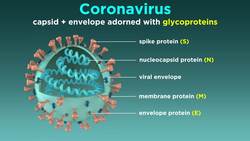 Severe Acute Respiratory Syndrome (SARS) Instructional Video