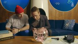 The stealthy art of seahorse camouflage Instructional Video