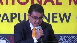 Japan FM hopes APEC leaders will achieve consensus on free trade News Clip