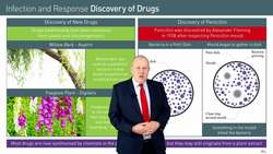 The Role of Plants in the Development of Modern Medicine Instructional Video