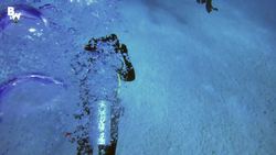 Tiger Shark FACE-OFF! Instructional Video