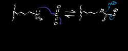 Carbon Dioxide Transport Clarification Instructional Video