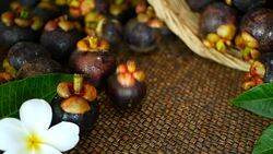 Top view of fresh delicious harvested mangosteens on wooden table. Thai organic purple fruit in the basket. Exotic natural blurred background with tropical flower. Healthy food and eating concept. Stock Footage