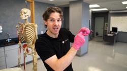 The Journey of Sperm Cells: Production, Development, and Maturation Instructional Video