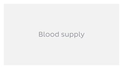 Greater omentum Instructional Video