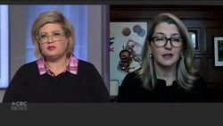 Thousands of livestock feared dead in aftermath of B.C. flooding News Clip